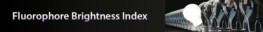 Fluorophore Brightness Index